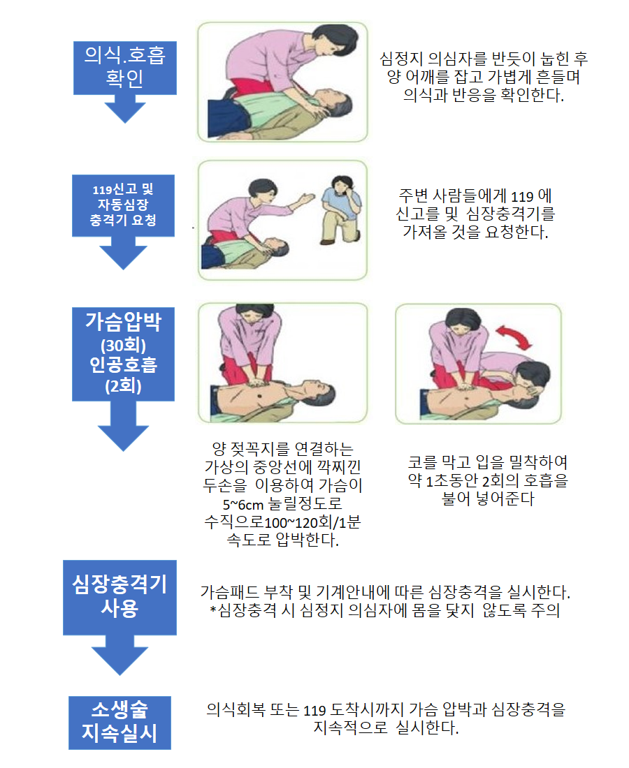 기본 심폐소생술 순서 